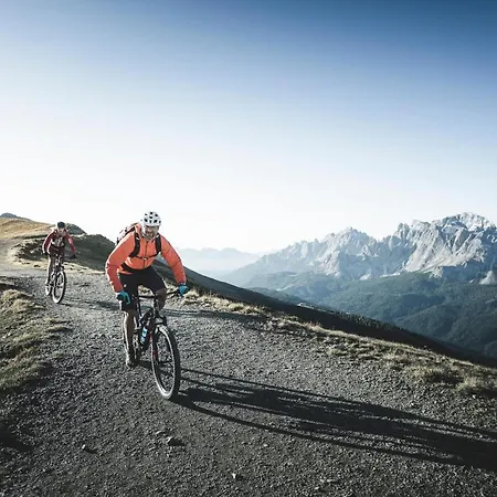 Hotel Alpenblick 4*